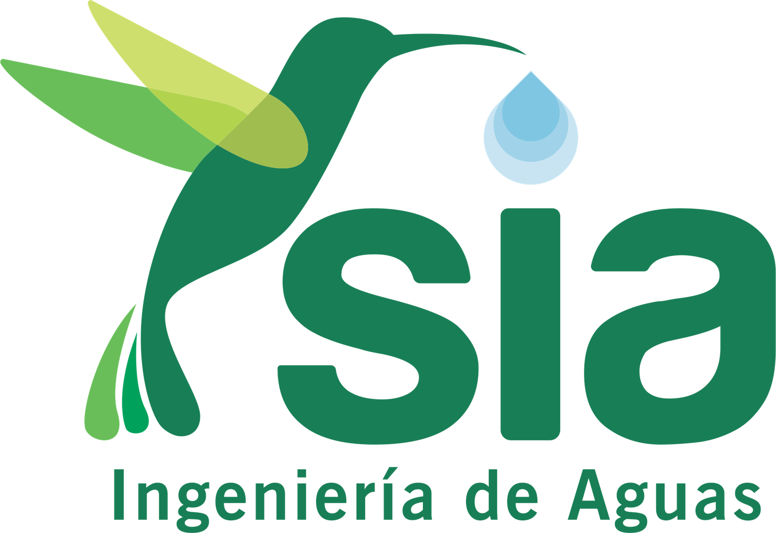 Siaguas